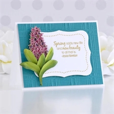 Spellbinders Embossing Folder - Plaid Company 
